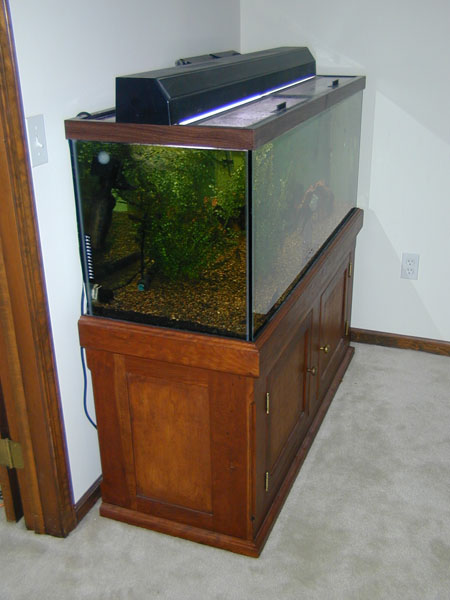 The stand holds a 75 gallon tank. It is made out of cherry and birch 